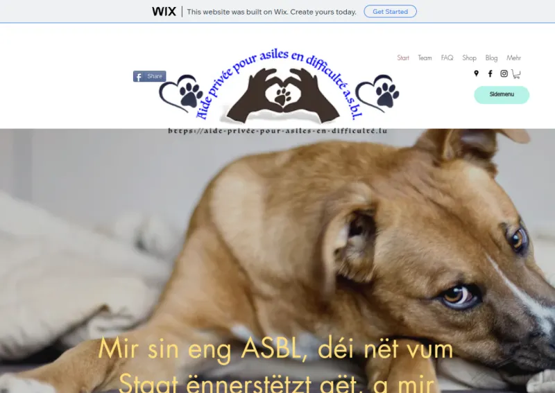 Screenshot vfpetre.wixsite.com/appaed2018